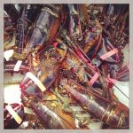 Lobster