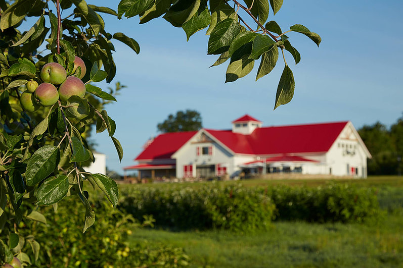 apple-creat-farm-nh.jpg