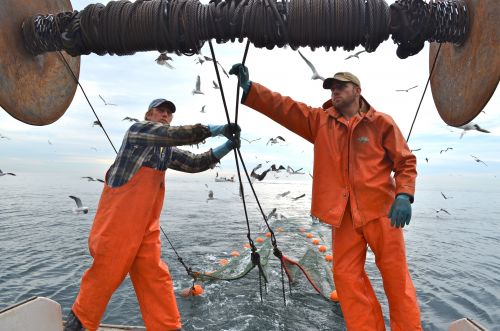 NH Community Seafood